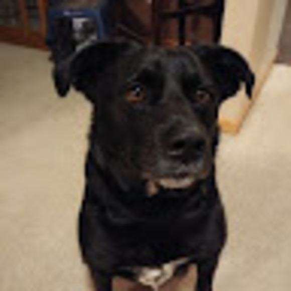 rjpugs114